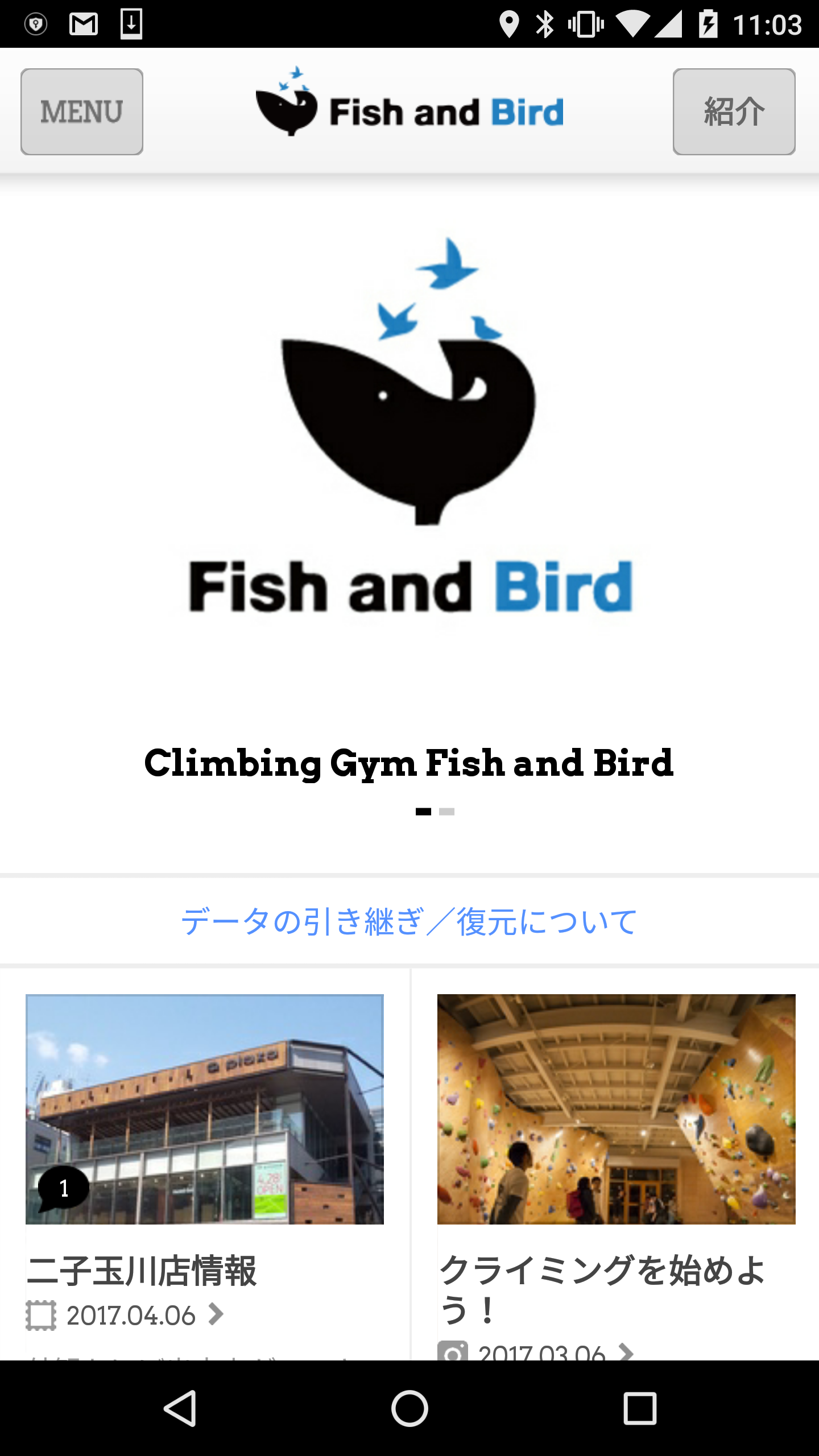 Fish and Bird様様